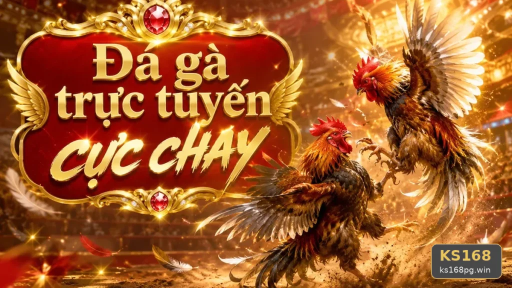 Đá Gà KS168 Tại ks168pg.win: Nhận Diện Lỗi Phổ Biến Và Cách Xử Lý Có Trách Nhiệm Trên Thiết Bị Di Động